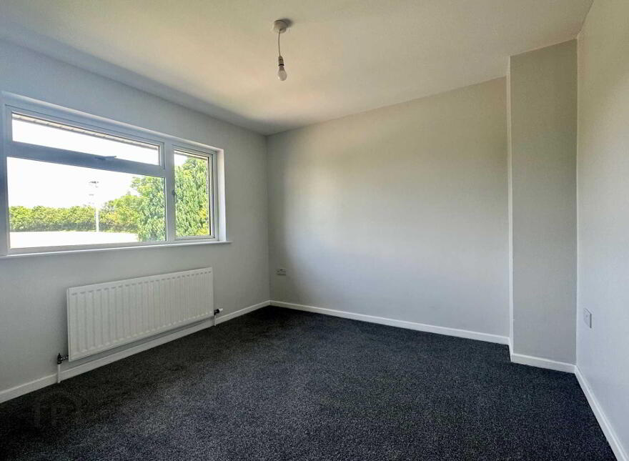 3 Castletown Park, Ballynure, Ballyclare, BT39 9QE