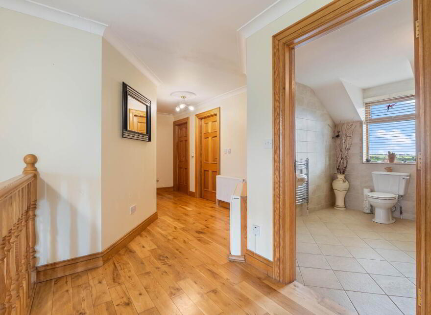 Rathmalikeen, Hollymount, F12CX92