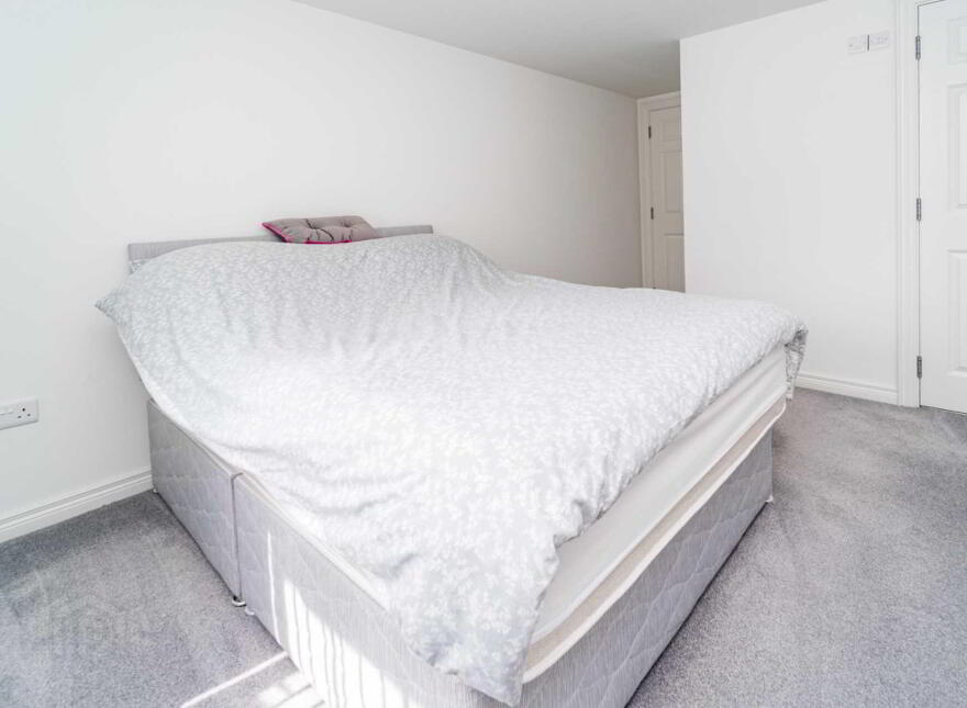 9 Meadow Place, Lisburn, BT28 3JQ