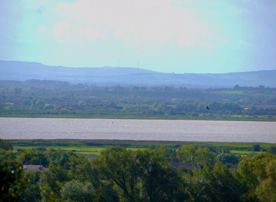 Belclare, Brickhill, West, Cratloe, V95K5V0