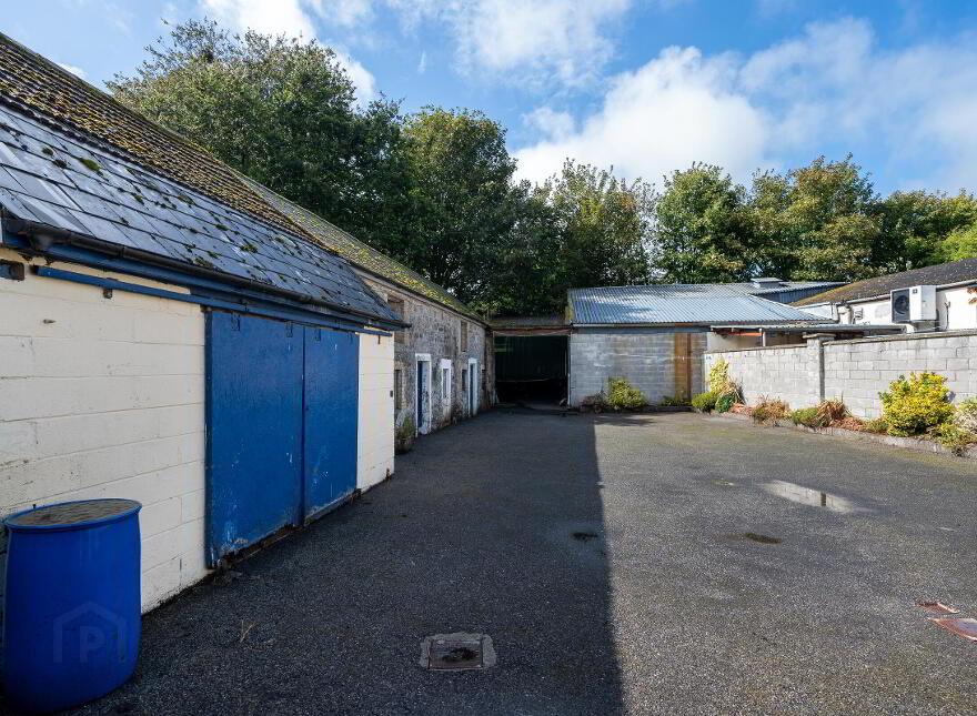 Main Street, Ferbane, R42DK49