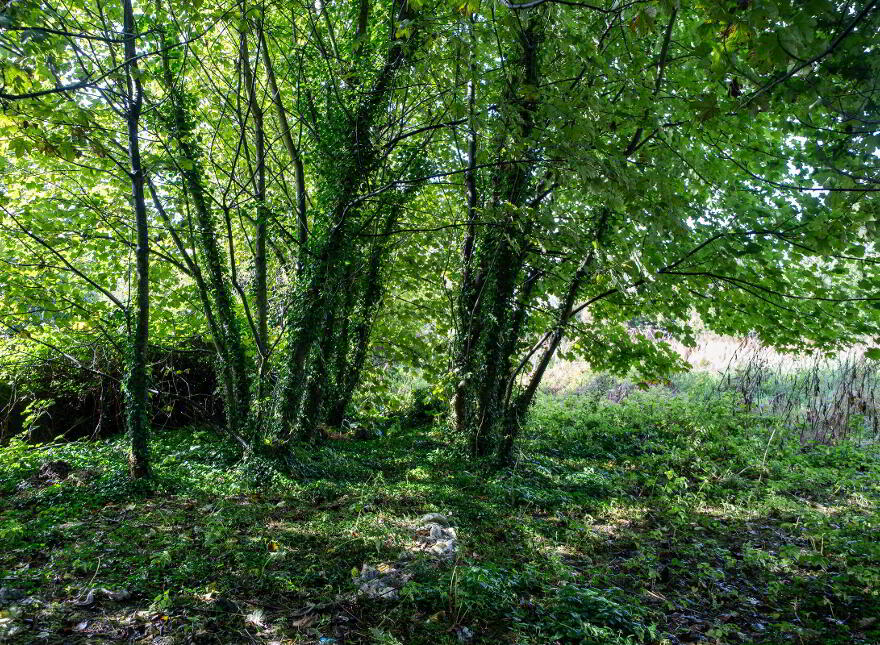 Main Street, Ferbane, R42DK49