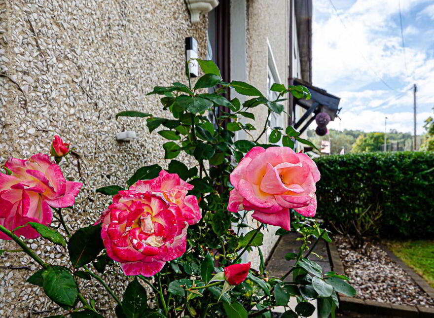 92 Clonduff Drive, Belfast, BT6 9NT