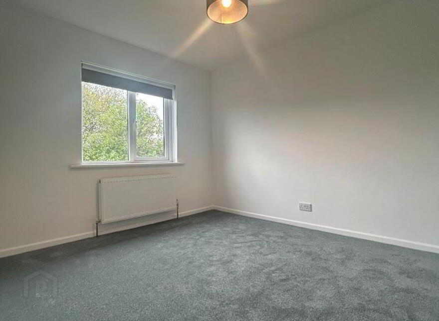 15 Ashvale Drive, Royal Hillsborough, BT26 6DN