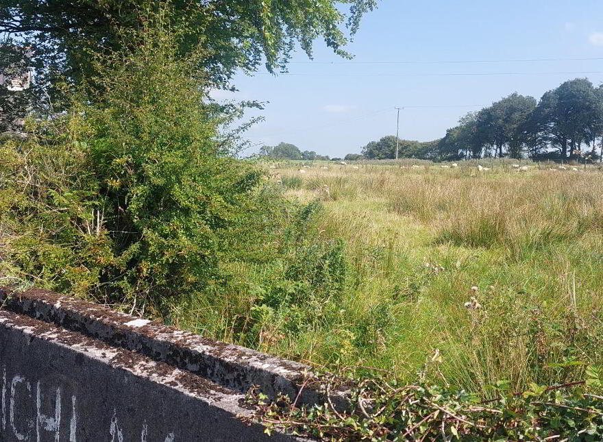 Highlake, Ballymacurley, F42NC56
