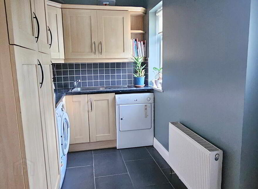 Drumcleavery, Drumsna, Carrick-On-Shannon, N41X899