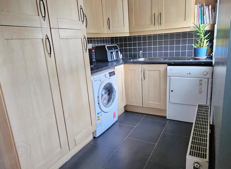 Drumcleavery, Drumsna, Carrick-On-Shannon, N41X899
