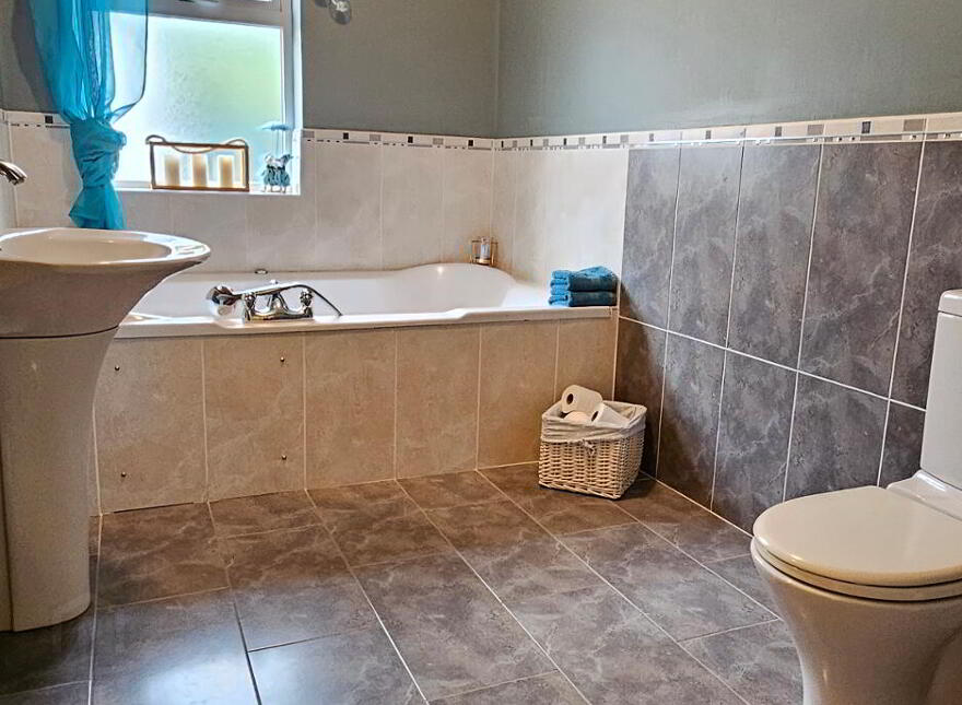 Drumcleavery, Drumsna, Carrick-On-Shannon, N41X899