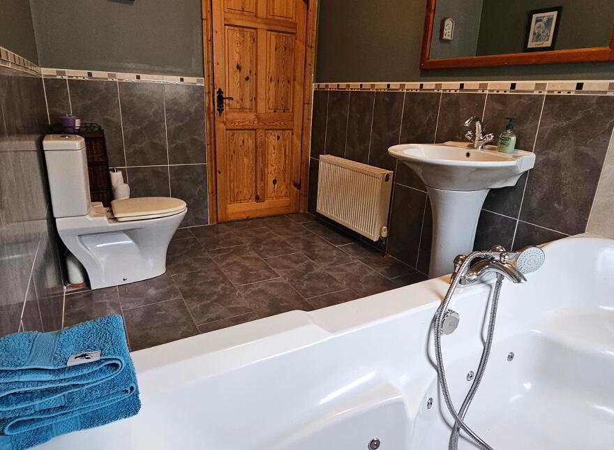 Drumcleavery, Drumsna, Carrick-On-Shannon, N41X899