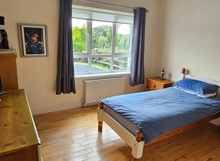 Drumcleavery, Drumsna, Carrick-On-Shannon, N41X899