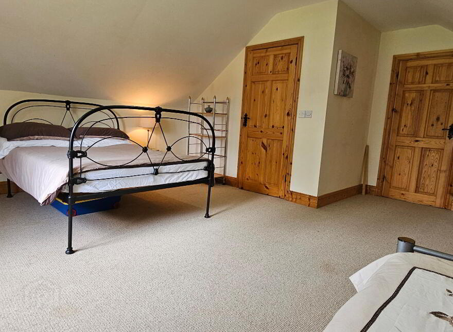 Drumcleavery, Drumsna, Carrick-On-Shannon, N41X899