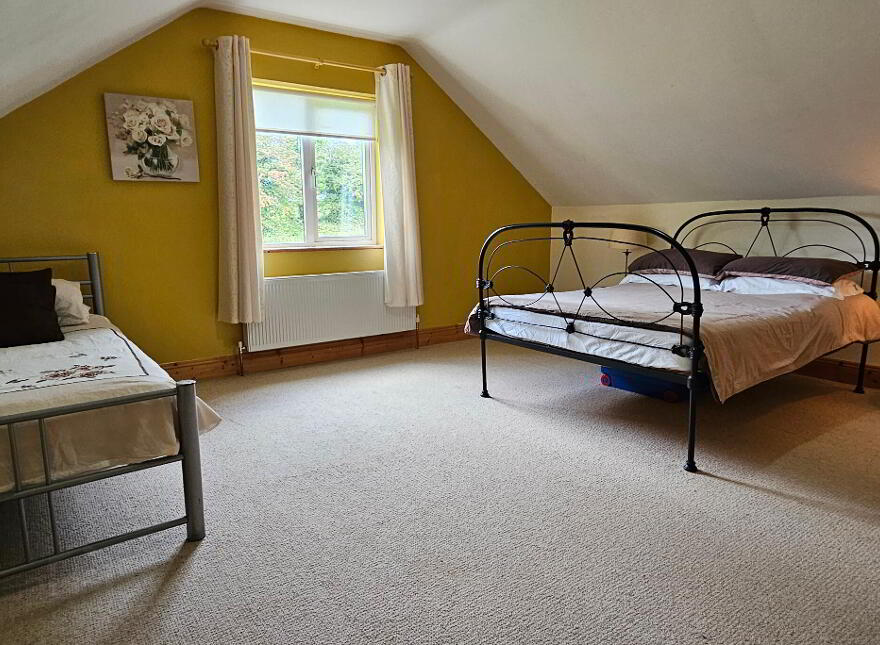 Drumcleavery, Drumsna, Carrick-On-Shannon, N41X899