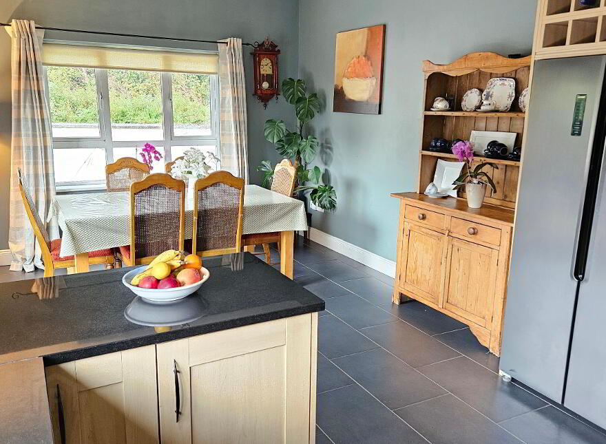 Drumcleavery, Drumsna, Carrick-On-Shannon, N41X899