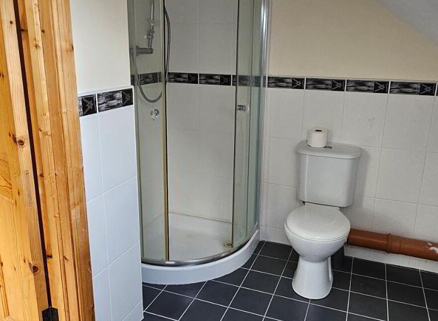 Drumcleavery, Drumsna, Carrick-On-Shannon, N41X899