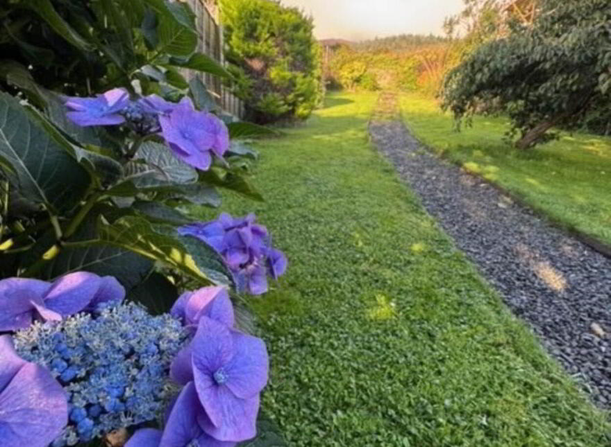 Castle Hill, Carlingford, A91FV00