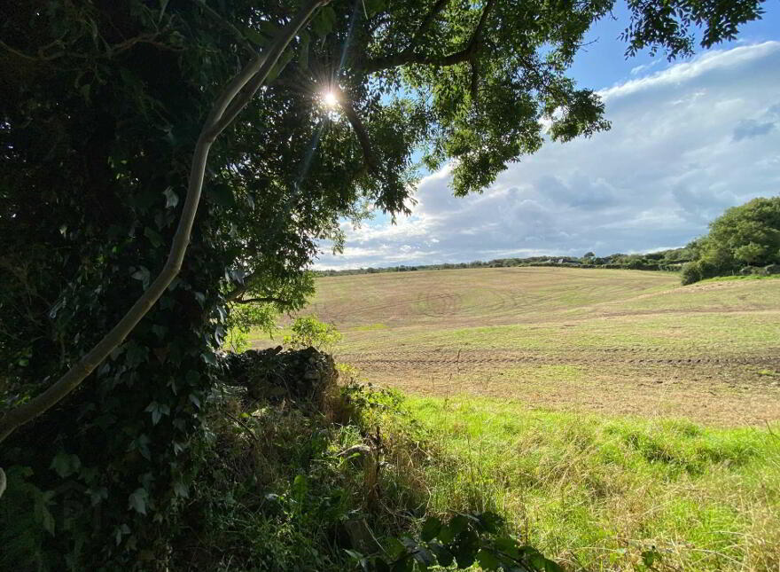 Building Site, Full Planning Permission, Metres South West Of Craw...Downpatrick, BT30 8QA