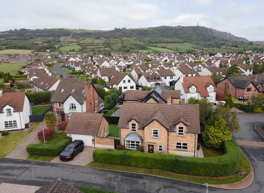 49 Farm Lodge Drive, Greenisland, Carrickfergus, BT38 8XN photo