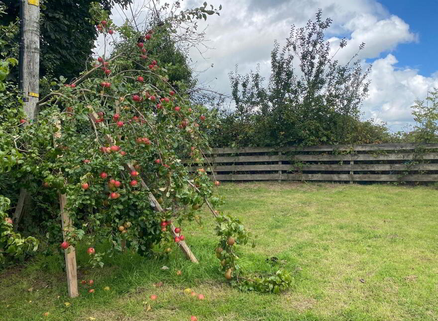 37 Derrygarve Park, Castledawson, Magherafelt, BT45 8EZ