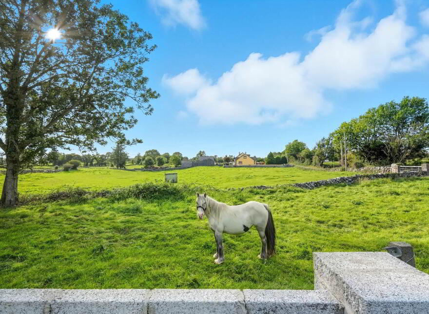 Slievefin, Claregalway, H91E8VW