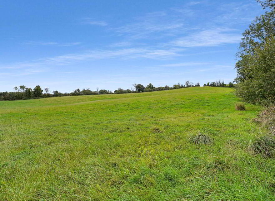 Land At, Northlands, Shercock