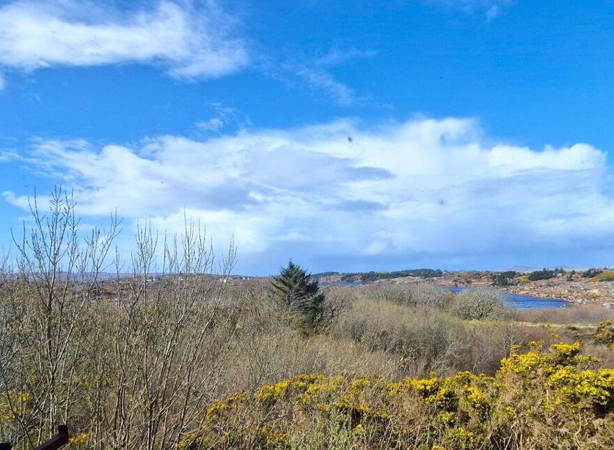 Crickamore, Burtonport, F94F856