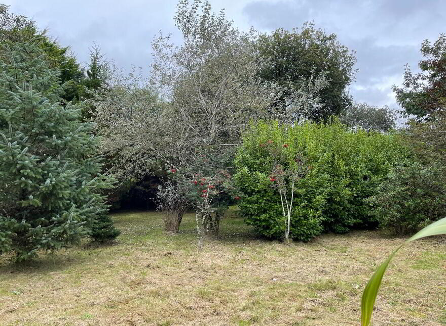 Bruagh Rí, Coad, Westcove, Caherdaniel, V93VY50
