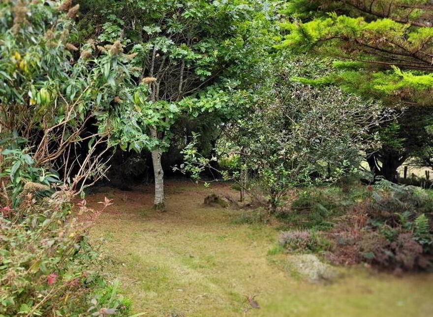 Bruagh Rí, Coad, Westcove, Caherdaniel, V93VY50