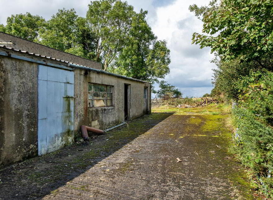 Creelaghta, Ballinamuck, N39NY01