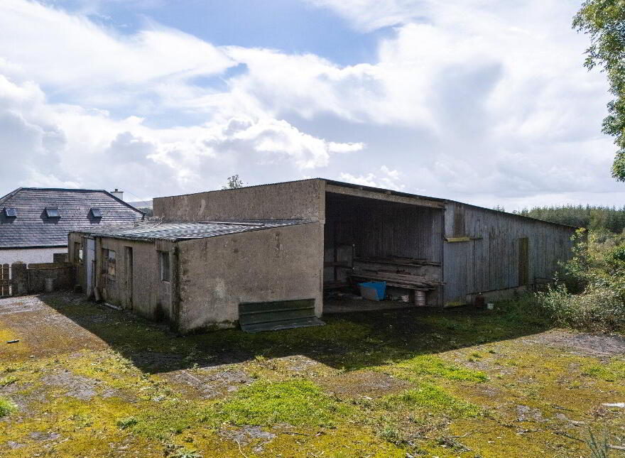 Creelaghta, Ballinamuck, N39NY01