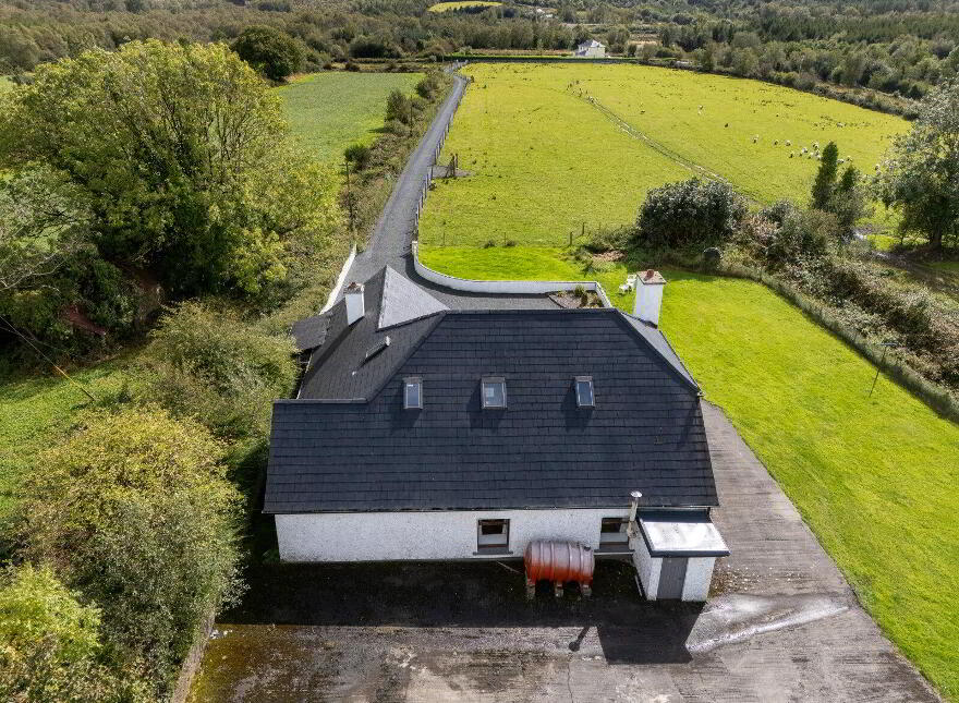 Creelaghta, Ballinamuck, N39NY01