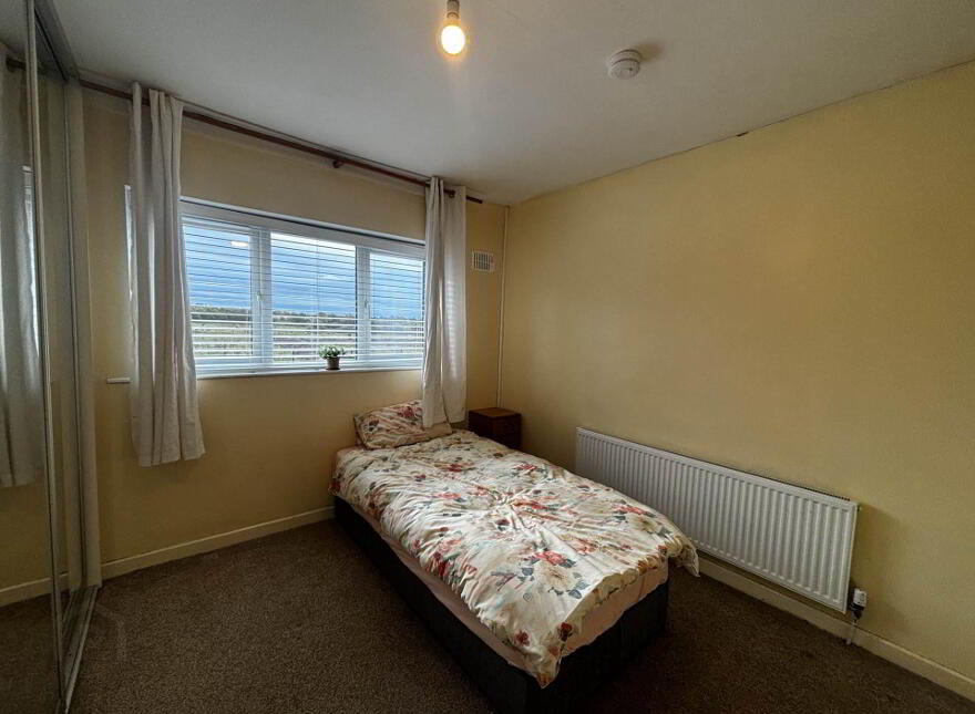 21 Maigue Way, Carew Park