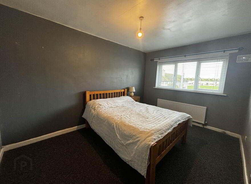21 Maigue Way, Carew Park