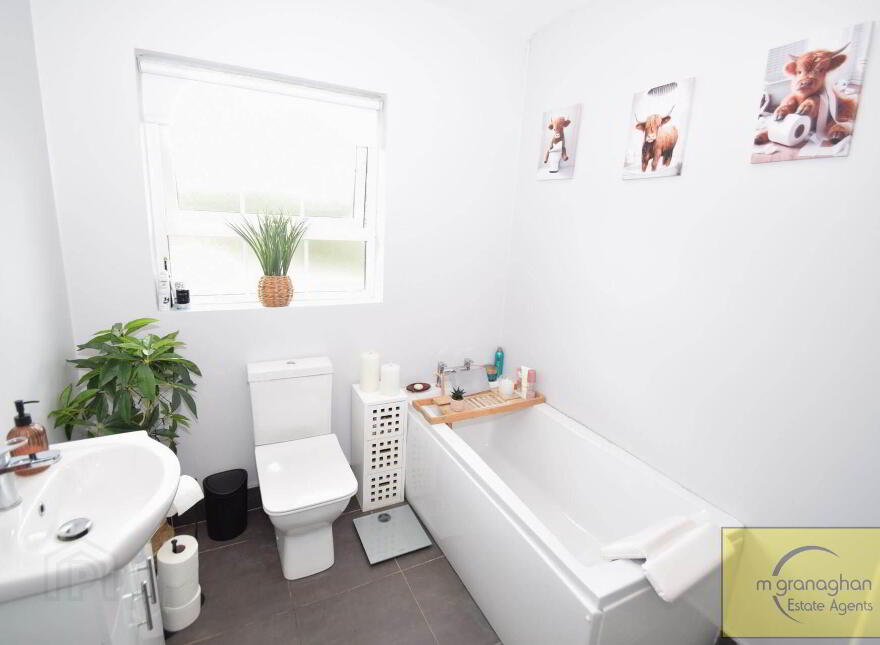 9 Mount Eagles Drive, Belfast, BT17 0GX