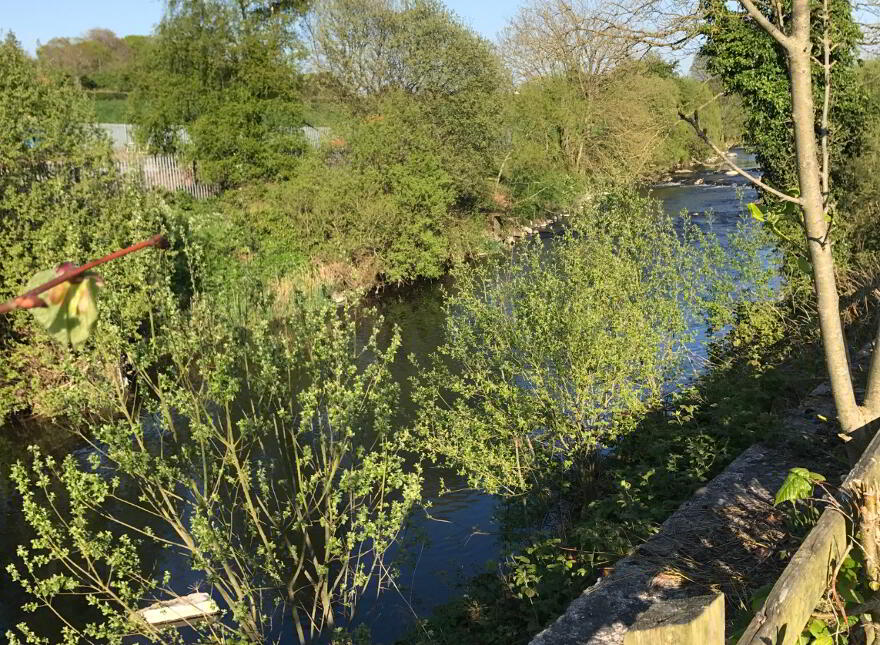 Alexandra Park, Antrim, BT41 4RD