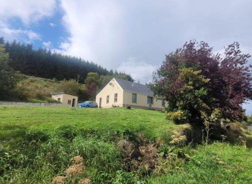 Hazel Farm", Tullycooley, Dromahair, F91PF21