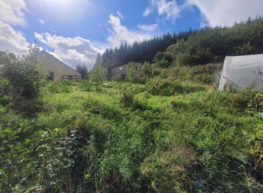 Hazel Farm", Tullycooley, Dromahair, F91PF21