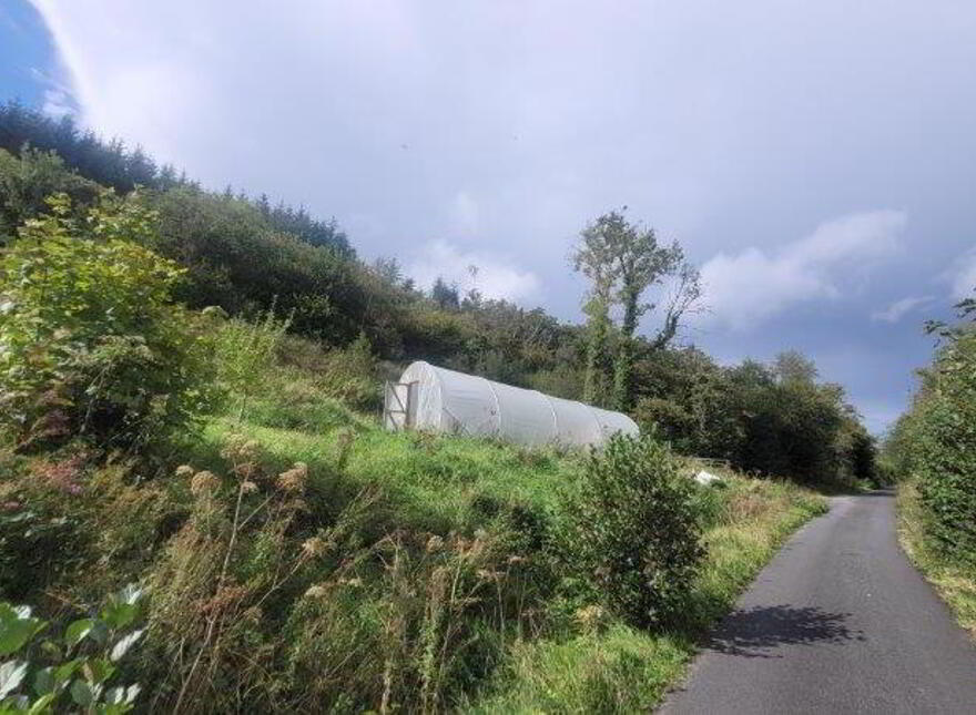 Hazel Farm", Tullycooley, Dromahair, F91PF21