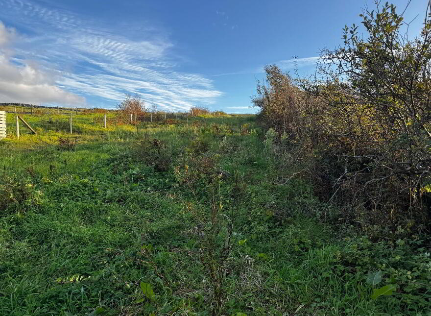 Aillemore, Killadoon, Westport,Mayo, F28X0F2