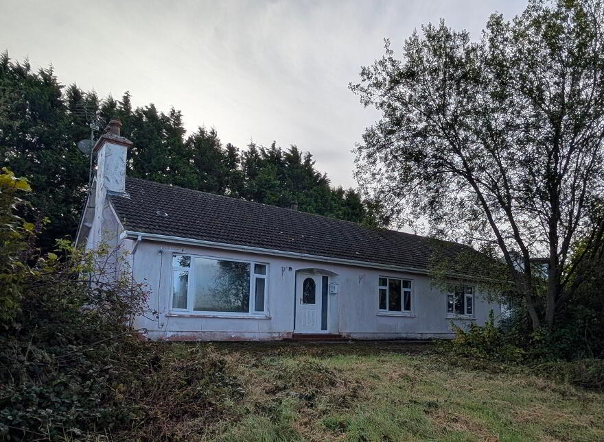 Tullywaltry, Bailieborough, A82HT26 photo
