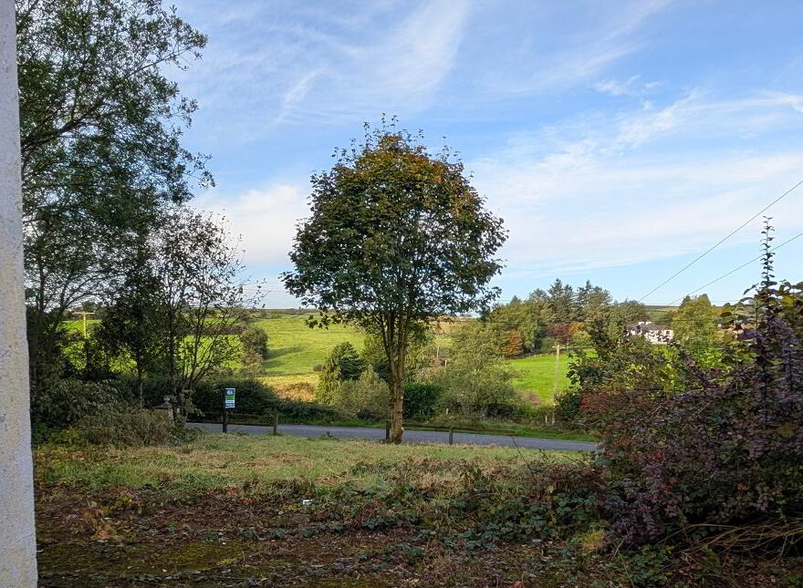 Tullywaltry, Bailieborough, A82HT26