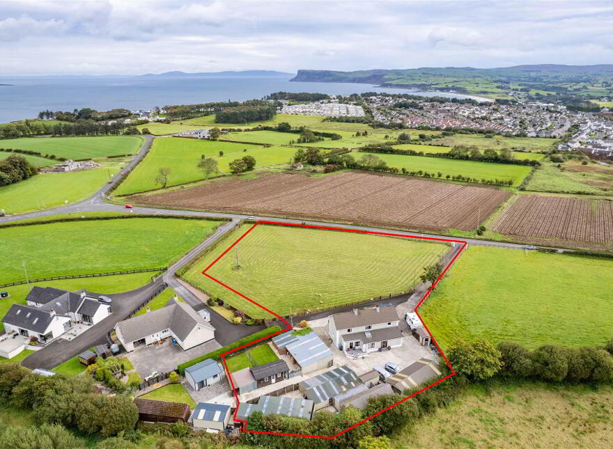 Bushbane Kennels, Cattery & Grooming, 28 Whitepark Road, Ballycastle, BT54 6LJ