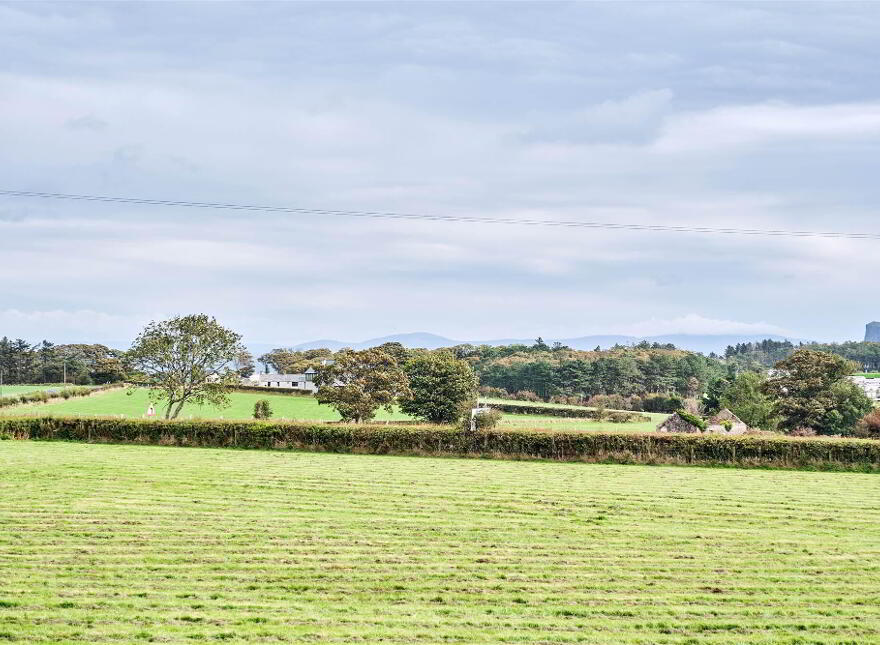 Bushbane Kennels, Cattery & Grooming, 28 Whitepark Road, Ballycastle, BT54 6LJ