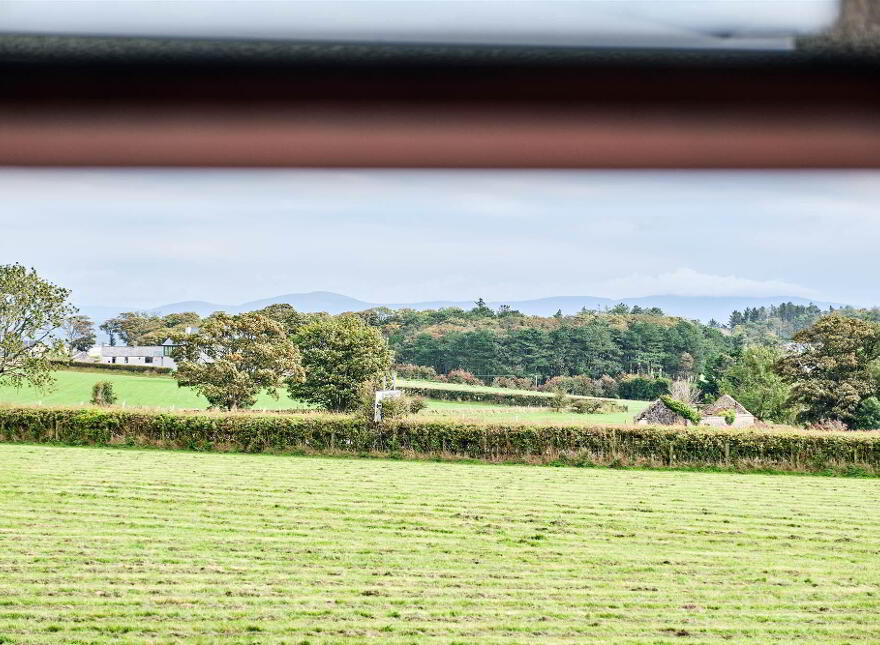 Bushbane Kennels, Cattery & Grooming, 28 Whitepark Road, Ballycastle, BT54 6LJ