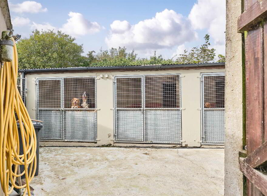 Bushbane Kennels, Cattery & Grooming, 28 Whitepark Road, Ballycastle, BT54 6LJ