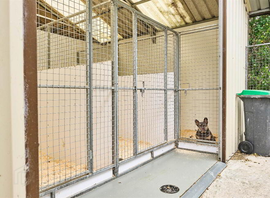 Bushbane Kennels, Cattery & Grooming, 28 Whitepark Road, Ballycastle, BT54 6LJ