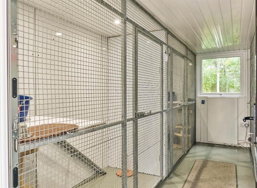 Bushbane Kennels, Cattery & Grooming, 28 Whitepark Road, Ballycastle, BT54 6LJ