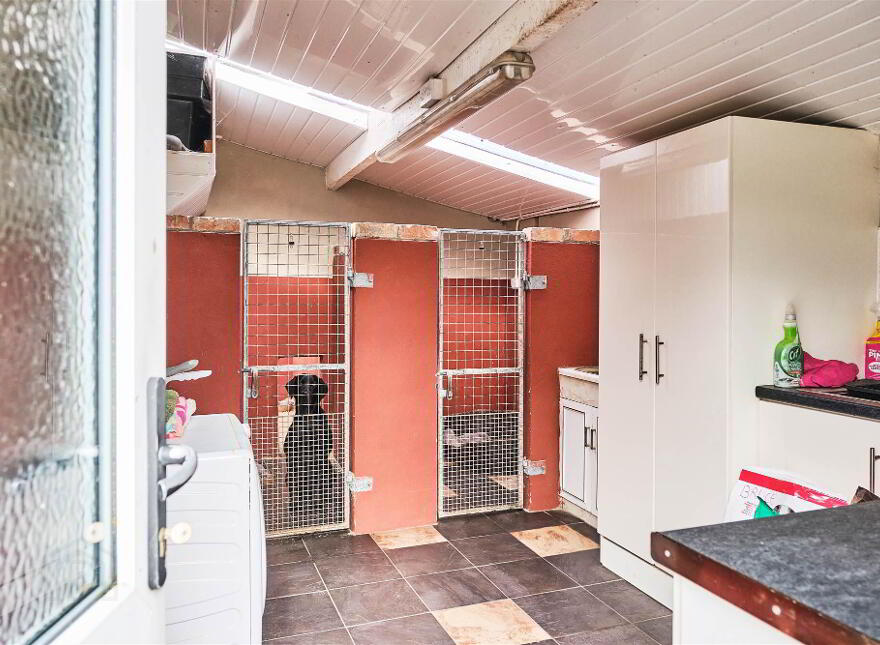 Bushbane Kennels, Cattery & Grooming, 28 Whitepark Road, Ballycastle, BT54 6LJ