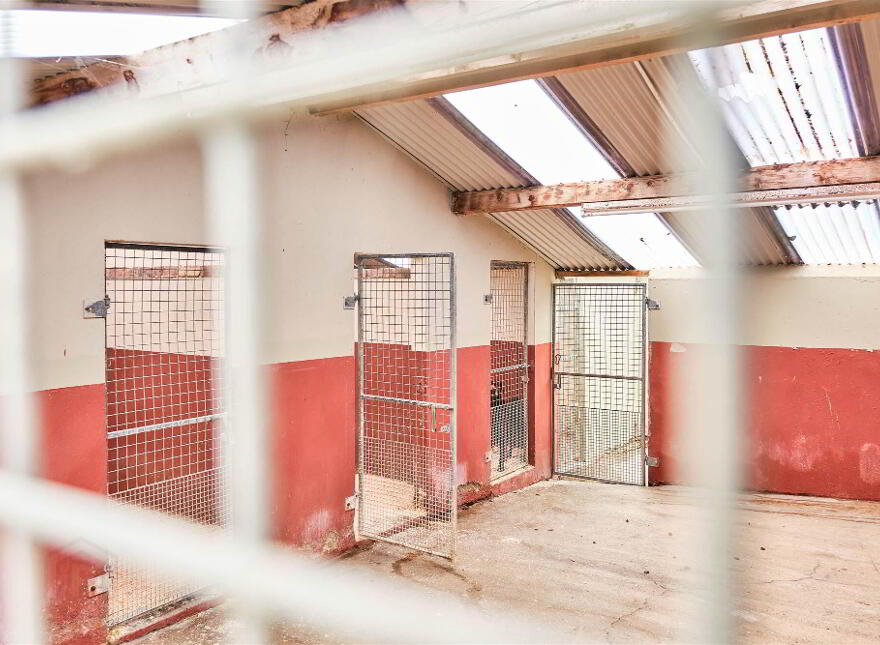 Bushbane Kennels, Cattery & Grooming, 28 Whitepark Road, Ballycastle, BT54 6LJ