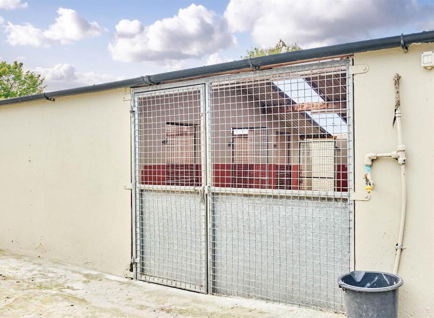 Bushbane Kennels, Cattery & Grooming, 28 Whitepark Road, Ballycastle, BT54 6LJ
