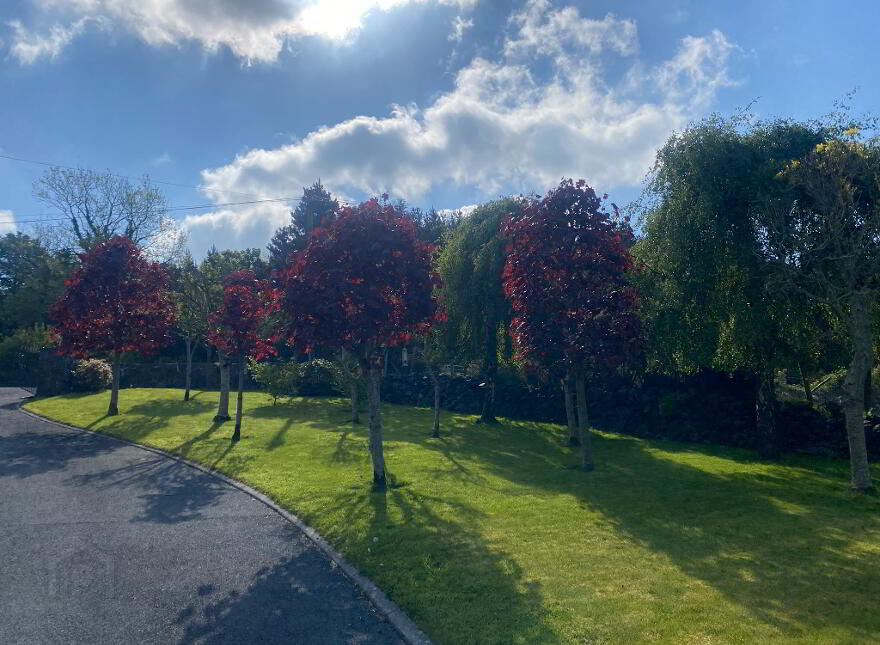 40 Drumreagh Road, Rostrevor, Newry, BT34 3DS